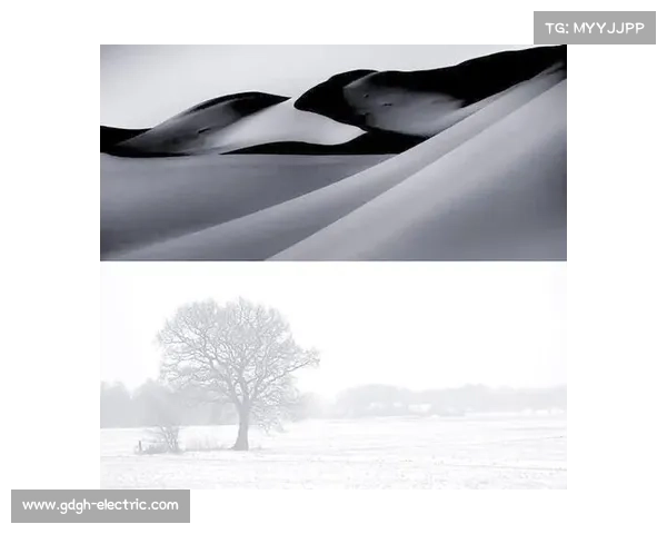 全方位掌握欧协联决赛关键规则与核心观赛要点权威深度解析指南篇