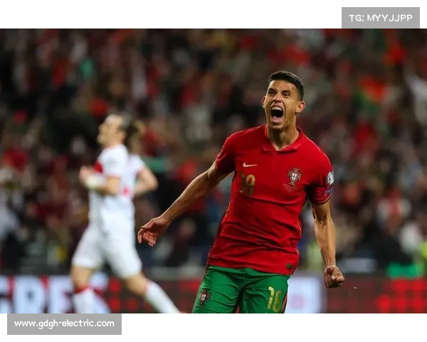 全面掌握葡萄牙各大足球球队名称的实用入门方法详解指南全面篇集